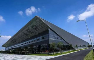 嶺南荔枝熟，最甜在花都——技術服務賦能荔枝產業發展